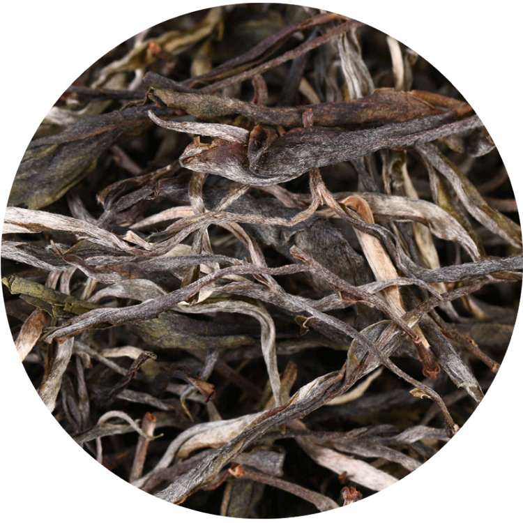云茶天門山茶